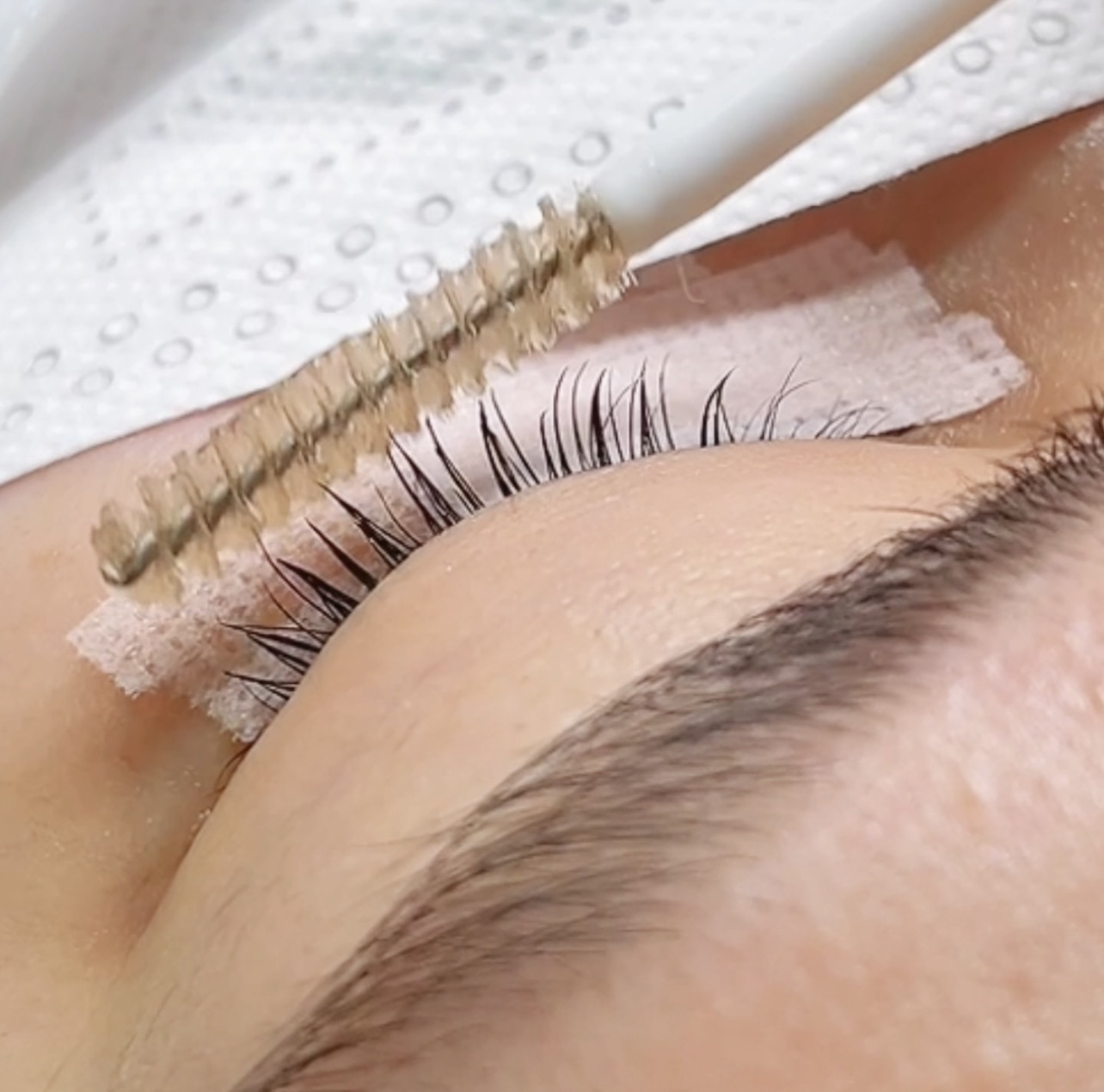 มาสคาร่าเจลใสบำรุงขนตา, ซ่อมขนตาช็อต, elleeplex mascara