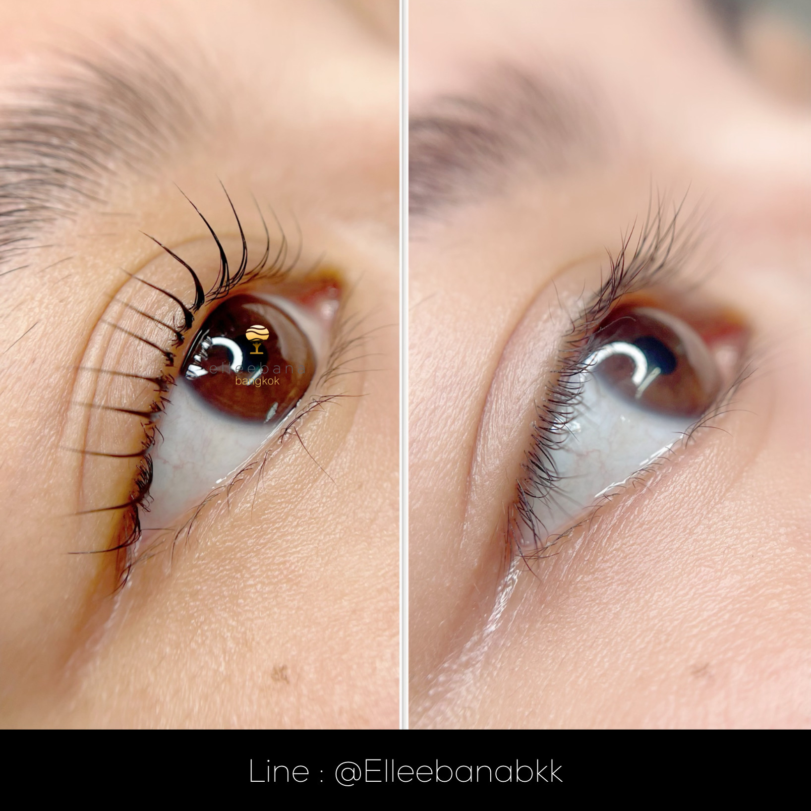 brow tint, lash tint, elleeplex profusion color, lash tint, สีย้อมขนตา, สีย้อมขนคิ้ว, ทิ้นต์สีขนตา, ทิ้นต์สีขนคิ้ว