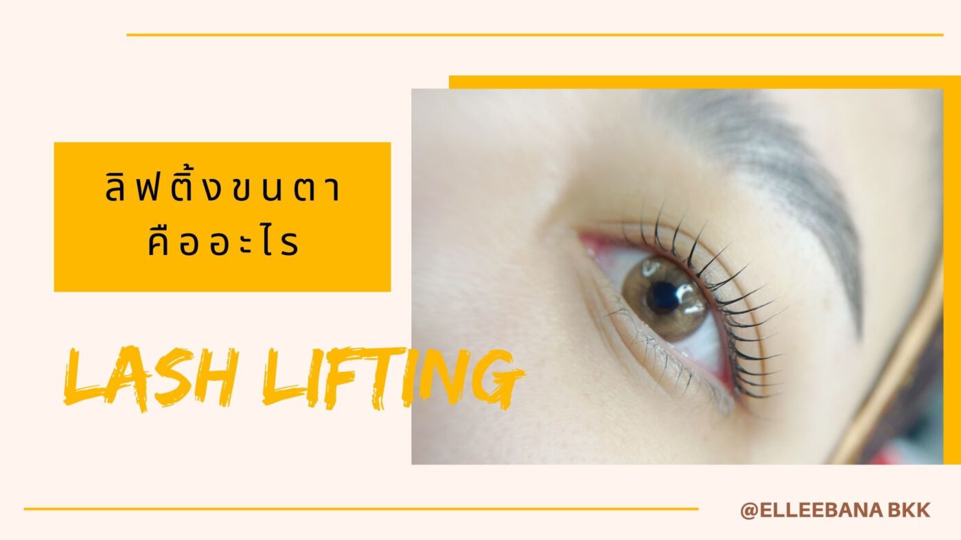 what is lash lifting, ลิฟติ้งขนตาคืออะไร, elleenbana, elleebana thailand